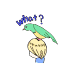 オーストラリアの動物（個別スタンプ：8）