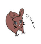 オーストラリアの動物（個別スタンプ：24）