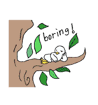 オーストラリアの動物（個別スタンプ：31）
