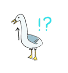 オーストラリアの動物（個別スタンプ：39）