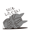 ねこと暮らしたい（個別スタンプ：23）
