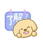 トイプードルさんスタンプ（個別スタンプ：4）