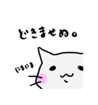 しろねこ(chirolu)（個別スタンプ：5）