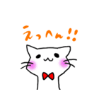 しろねこ(chirolu)（個別スタンプ：11）