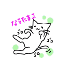 しろねこ(chirolu)（個別スタンプ：12）