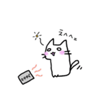 しろねこ(chirolu)（個別スタンプ：13）