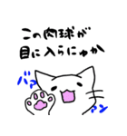 しろねこ(chirolu)（個別スタンプ：28）