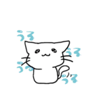 しろねこ(chirolu)（個別スタンプ：30）