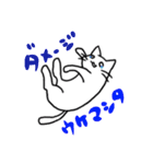 しろねこ(chirolu)（個別スタンプ：31）