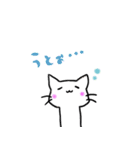 しろねこ(chirolu)（個別スタンプ：33）
