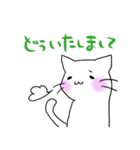 しろねこ(chirolu)（個別スタンプ：40）