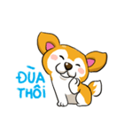 Camcam husky dog（個別スタンプ：11）