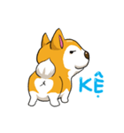 Camcam husky dog（個別スタンプ：14）