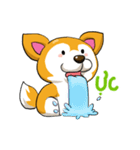 Camcam husky dog（個別スタンプ：15）