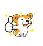 Camcam husky dog（個別スタンプ：33）