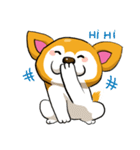 Camcam husky dog（個別スタンプ：39）