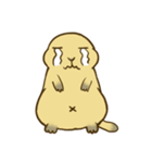 Groundhog:fat-Po（個別スタンプ：11）