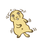 Groundhog:fat-Po（個別スタンプ：24）
