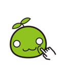 Green Bean（個別スタンプ：38）