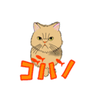 りとにゃん連絡用（個別スタンプ：25）