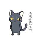 冬黒猫（個別スタンプ：1）