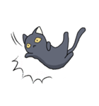 冬黒猫（個別スタンプ：5）