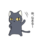 冬黒猫（個別スタンプ：13）