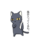 冬黒猫（個別スタンプ：14）
