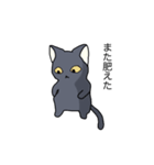 冬黒猫（個別スタンプ：16）