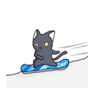 冬黒猫（個別スタンプ：37）
