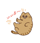 ね！こ！（個別スタンプ：3）