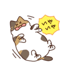 ね！こ！（個別スタンプ：11）