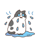 ね！こ！（個別スタンプ：14）