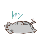ね！こ！（個別スタンプ：16）
