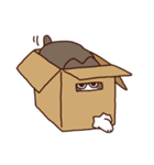 ね！こ！（個別スタンプ：18）