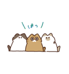 ね！こ！（個別スタンプ：20）