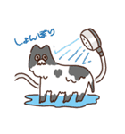 ね！こ！（個別スタンプ：32）