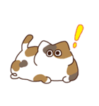 ね！こ！（個別スタンプ：39）