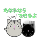 まん丸ネコの日常スタンプ（個別スタンプ：5）