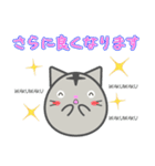 まん丸ネコの日常スタンプ（個別スタンプ：22）