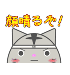 まん丸ネコの日常スタンプ（個別スタンプ：31）