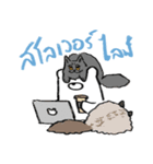 MepMhee : Keep Cats, Stay 'KAAN'（個別スタンプ：4）