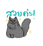 MepMhee : Keep Cats, Stay 'KAAN'（個別スタンプ：33）