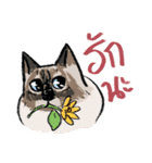 MepMhee : Keep Cats, Stay 'KAAN'（個別スタンプ：35）