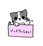 箱入りわにゃんこs（個別スタンプ：6）