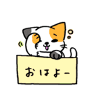 箱入りわにゃんこs（個別スタンプ：10）