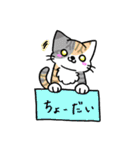 箱入りわにゃんこs（個別スタンプ：20）