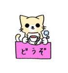 箱入りわにゃんこs（個別スタンプ：22）