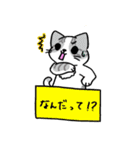 箱入りわにゃんこs（個別スタンプ：24）