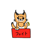 箱入りわにゃんこs（個別スタンプ：30）